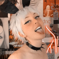 Quinn avatar picture